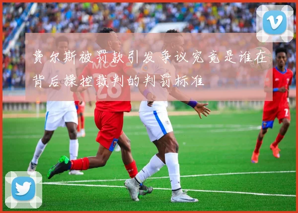 费尔斯被罚款引发争议究竟是谁在背后操控裁判的判罚标准