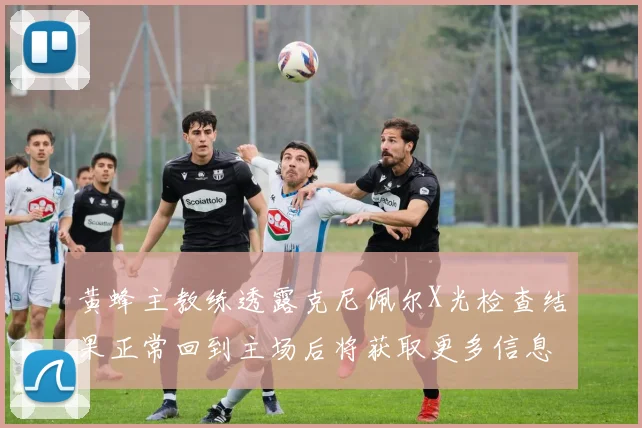 黄蜂主教练透露克尼佩尔X光检查结果正常回到主场后将获取更多信息
