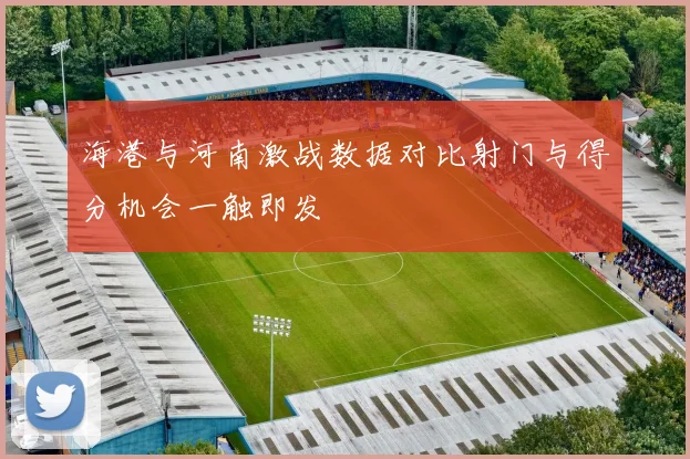 海港与河南激战数据对比射门与得分机会一触即发