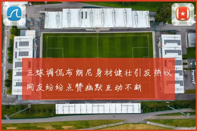 三球调侃布朗尼身材健壮引发热议网友纷纷点赞幽默互动不断